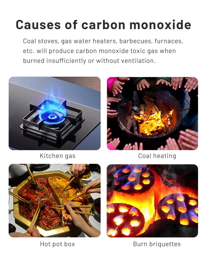 Enerna IoTech WiFi Audible Carbon Monoxide Leakage detector